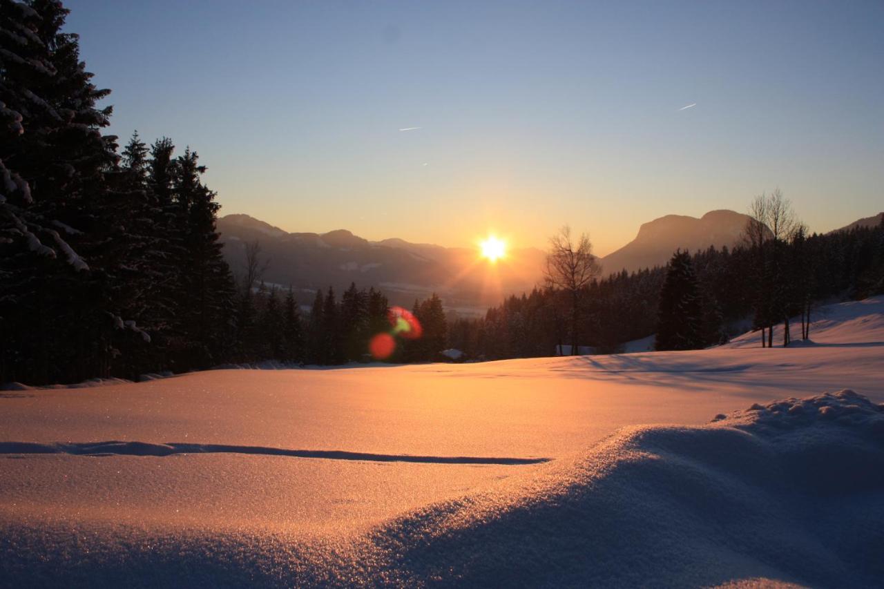 Boutique-Pension Jaegerwirt Scheffau am Wilden Kaiser Dış mekan fotoğraf